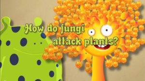 attack plants