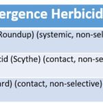 herbicides henbit