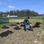 mulch herbicide research