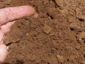 it is important to recognize the amount of sand, silt and clay in your landscape soils.