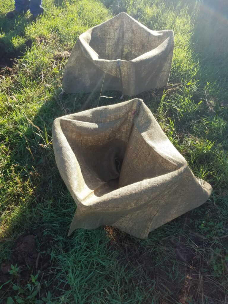 Wire Baskets Leave them or remove them? Purdue Landscape Report