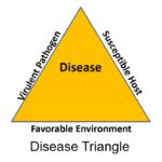 The disease triangle with the three required factors: a virulent pathogen, susceptible host, and favorable environment Photo Credit: PPDL