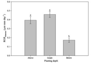 Effect of planting depth on relative growth rate of Quercus viginiana. From Bryan et.al. 2011.