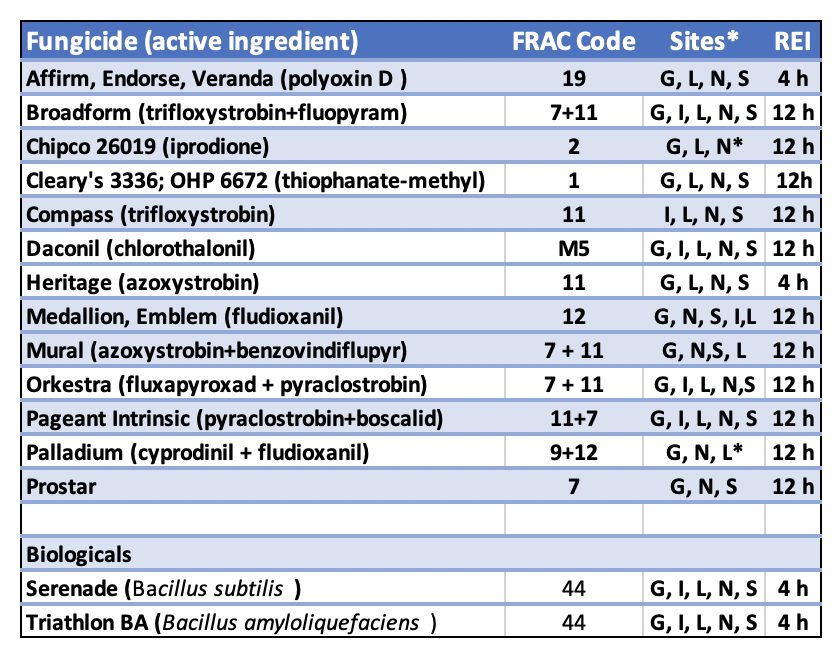 Fungicide (active ingredient)FRAC Code Sites* REI Affirm, Endorse, Veranda (polyoxin D ) 19 G, L, N, S 4 h Broadform (trifloxystrobin+fluopyram) 7+11 G, I, L, N, S 12 h Chipco 26019 (iprodione) 2 G, L, N* 12 h Cleary's 3336; OHP 6672 (thiophanate-methyl) 1 G, L, N, S 12h Compass (trifloxystrobin) 11 I, L, N, S 12 h Daconil (chlorothalonil) M5 G, I, L, N, S 12 h Heritage (azoxystrobin) 11 G, L, N, S 4 h Medallion, Emblem (fludioxanil) 12 G, N, S, I,L 12 h Mural (azoxystrobin+benzovindiflupyr) 7 + 11 G, N,S, L 12 h Orkestra (fluxapyroxad + pyraclostrobin) 7 + 11 G, I, L, N,S 12 h Pageant Intrinsic (pyraclostrobin+boscalid) 11+7 G, I, L, N, S 12 h Palladium (cyprodinil + fludioxanil) 9+12 G, N, L* 12 h Prostar 7 G, N, S 12 h Biologicals Serenade (Bacillus subtilis ) 44 G, I, L, N, S 4 h Triathlon BA (Bacillus amyloliquefaciens ) 44 G, I, L, N, S 4 h