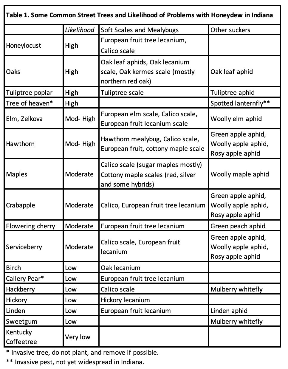 Beware the Honeydew List