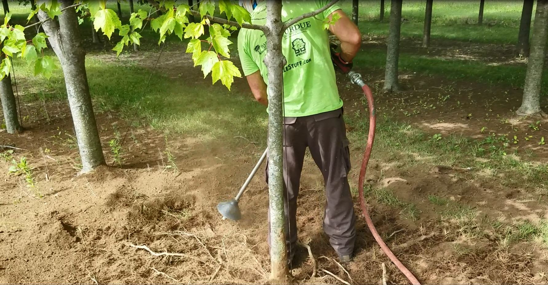 Using Pneumatic Digging Equipment to Correct Root Deformations, Deep