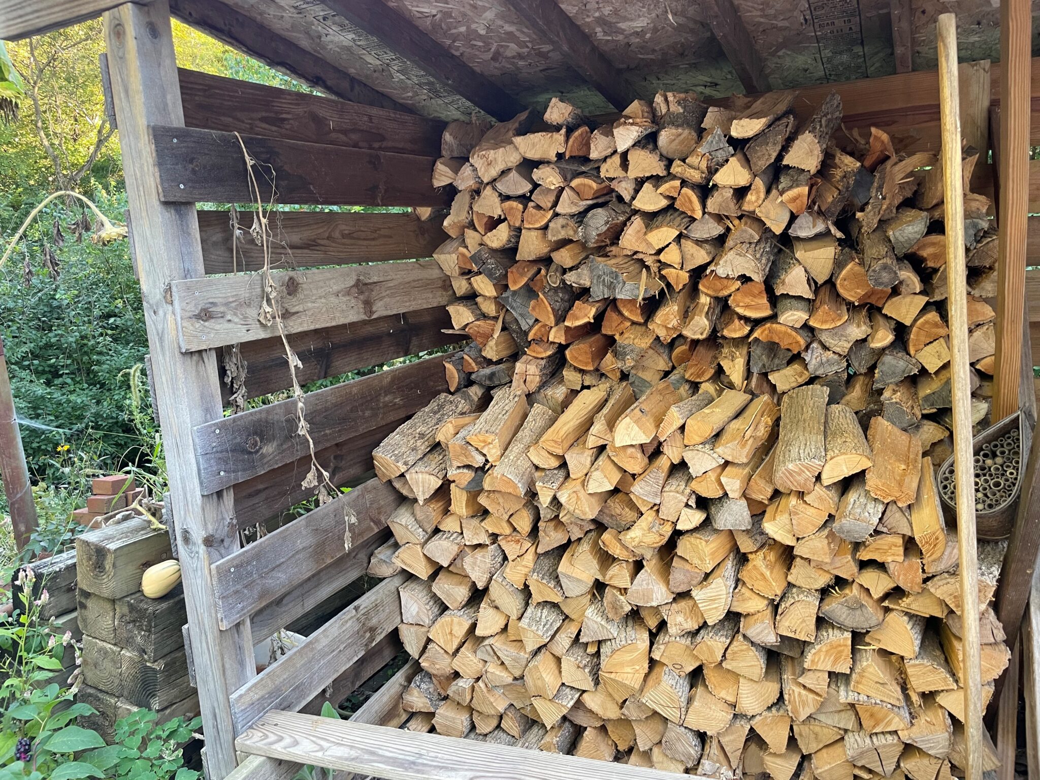 Celebrate National Firewood Month Purchase Firewood Locally