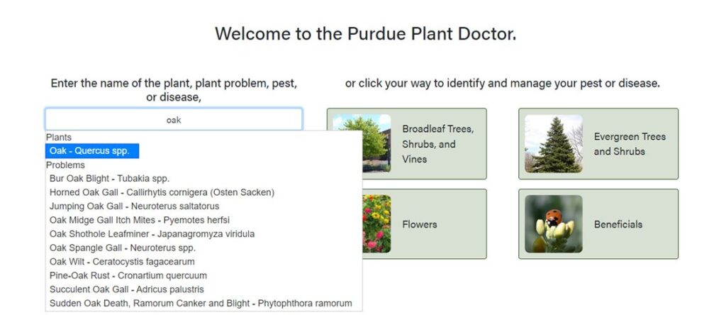 plant doctor web page