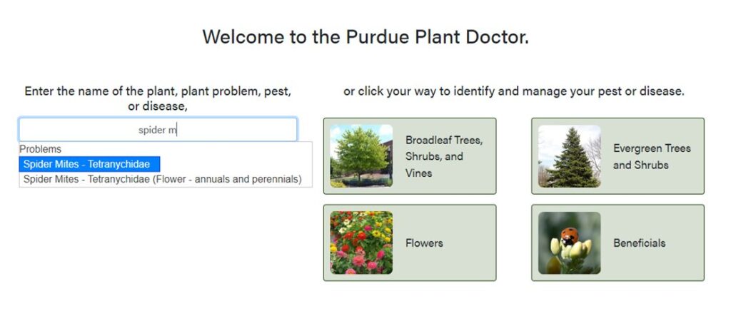 welcome to plant doctor