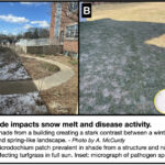 shade impacts snow melt