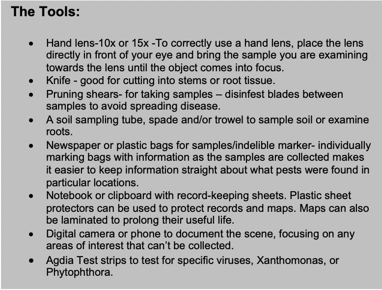 The Tools: • Hand lens-10x or 15x -To correctly use a hand lens, place the lens directly in front of your eye and bring the sample you are examining towards the lens until the object comes into focus. • Knife - good for cutting into stems or root tissue. • Pruning shears- for taking samples – disinfest blades between samples to avoid spreading disease. • A soil sampling tube, spade and/or trowel to sample soil or examine roots. • Newspaper or plastic bags for samples/indelible marker- individually marking bags with information as the samples are collected makes it easier to keep information straight about what pests were found in particular locations. • Notebook or clipboard with record-keeping sheets. Plastic sheet protectors can be used to protect records and maps. Maps can also be laminated to prolong their useful life. • Digital camera or phone to document the scene, focusing on any areas of interest that can’t be collected. • Agdia Test strips to test for specific viruses, Xanthomonas, or Phytophthora. 