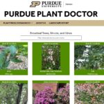 plant doctor