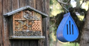 bee hotel and butterfly house