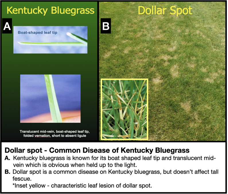 Know thy Host, Know thy Disease