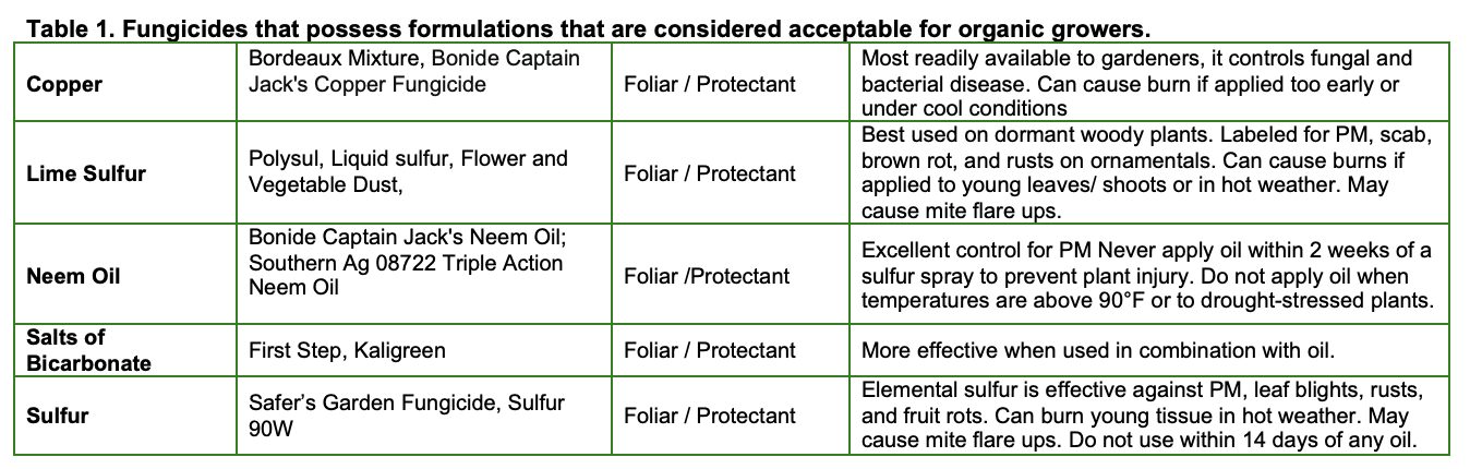 Table 1. Fungicides that possess formulations that are considered acceptable for organic growers. Copper Bordeaux Mixture, Bonide Captain Jack's Copper Fungicide Foliar / Protectant Most readily available to gardeners, it controls fungal and bacterial disease. Can cause burn if applied too early or under cool conditions Lime Sulfur Polysul, Liquid sulfur, Flower and Vegetable Dust, Foliar / Protectant Best used on dormant woody plants. Labeled for PM, scab, brown rot, and rusts on ornamentals. Can cause burns if applied to young leaves/ shoots or in hot weather. May cause mite flare ups. Neem Oil Bonide Captain Jack's Neem Oil; Southern Ag 08722 Triple Action Neem Oil Foliar /Protectant Excellent control for PM Never apply oil within 2 weeks of a sulfur spray to prevent plant injury. Do not apply oil when temperatures are above 90°F or to drought-stressed plants. Salts of Bicarbonate First Step, Kaligreen Foliar / Protectant More effective when used in combination with oil. Sulfur Safer’s Garden Fungicide, Sulfur 90W Foliar / Protectant Elemental sulfur is effective against PM, leaf blights, rusts, and fruit rots. Can burn young tissue in hot weather. May cause mite flare ups. Do not use within 14 days of any oil. 