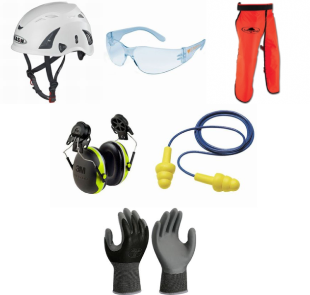 Chainsaw Safety, PPE
