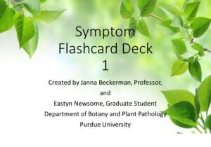 Flashcard Deck 1 - Symptoms_JB edits