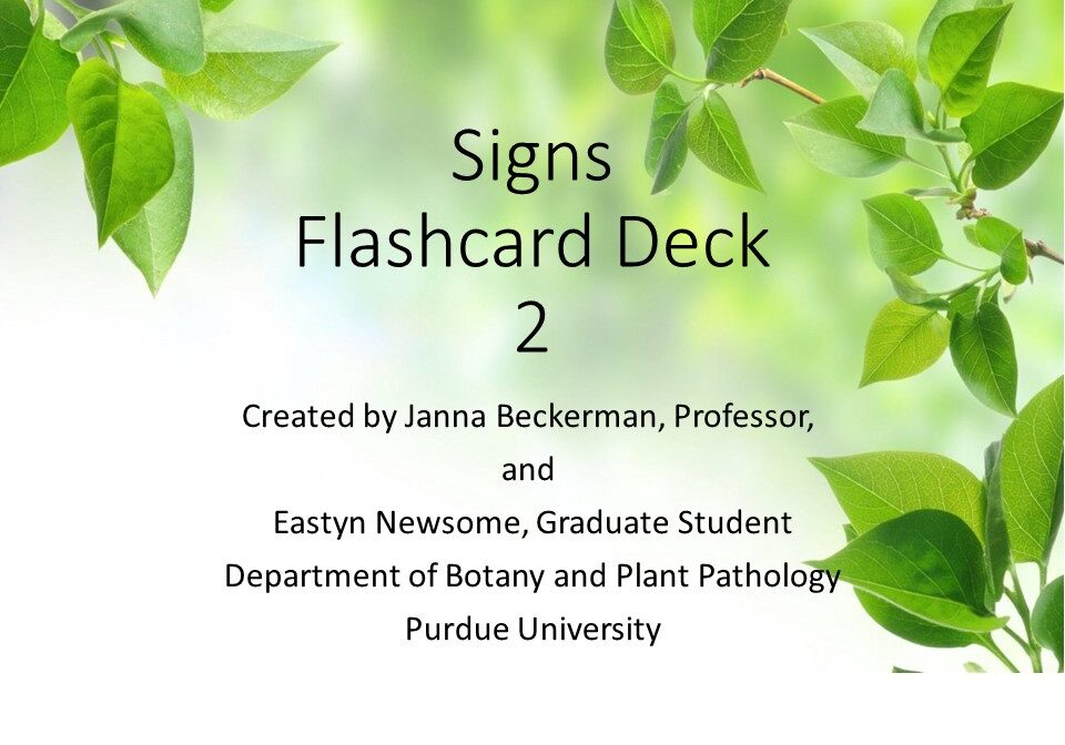 Flashcard Deck 2 - Signs_JLBfinal